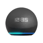 Smart Speakers