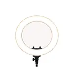 Simpex 522 Studio LED Ring Light 18 inch with Stand – Thumbnail 5