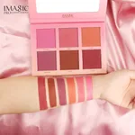 Imagic 6 Color Touch Blush Palette High Quality Professional Makeup Eyeshadow Blush – Thumbnail 4
