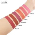 Imagic 6 Color Touch Blush Palette High Quality Professional Makeup Eyeshadow Blush – Thumbnail 3