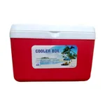 Small storage capacity and High insulation Ice Box – 4 Liter – Thumbnail 1