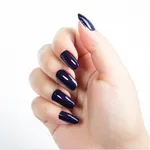 Nirvana Color Nail Enamel Long Lasting Mysterious Look 18 Nail polish – Thumbnail 4