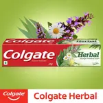 Colgate Herbal Anti Tooth Decay Stronger Toothpaste 200gm – Thumbnail 3