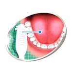  SmartCare Formula Toothbrush Confident Curve Toothbrush – Thumbnail 3