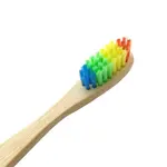Proclean Regular AB-2043 Natural Bamboo Toothbrush Multi-Color – Thumbnail 3
