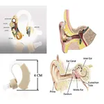 Sony S-115 Digital Sound High Technology Amplifier Hearing Aid – Thumbnail 5