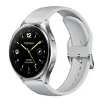 Color: Silver