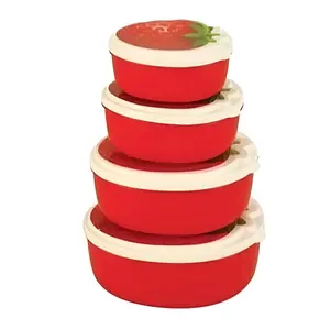 Strawberry 4 Piece Leak-Proof Lunch Box