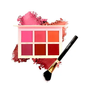 Imagic 6 Color Touch Blush Palette High Quality Professional Makeup Eyeshadow Blush