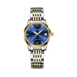 OLEVS 6602 Stainless Steel luxurious Casual Waterproof Automatic Watch
