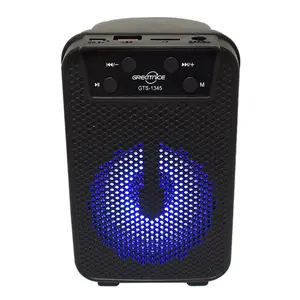 GTS 1345 Portable Rechargeable FM Radio