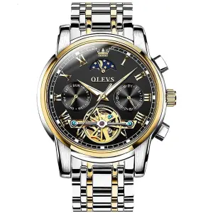 Olevs 6617 Luxury Mechanical Stainless Steel Chain Men's Watch - Variant 2