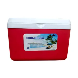 Small storage capacity and High insulation Ice Box – 4 Liter