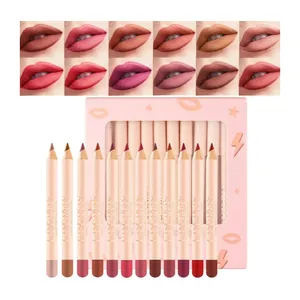 HANDAIYAN Long-Lasting Formula Matte Lip Liners Pencil 12pcs