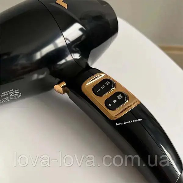 VGR V-423 Essential Dry Care Salon Series Hair Dryer for Women Black Color – View 2