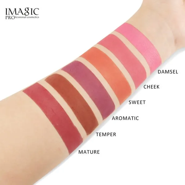 Imagic 6 Color Touch Blush Palette High Quality Professional Makeup Eyeshadow Blush – View 3
