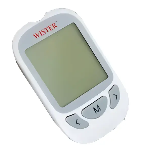 Wister Blood Glucose Monitoring System for Diabetics – View 2