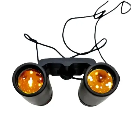 Russian Pocket Binoculars 30x60 Long Distance – View 2