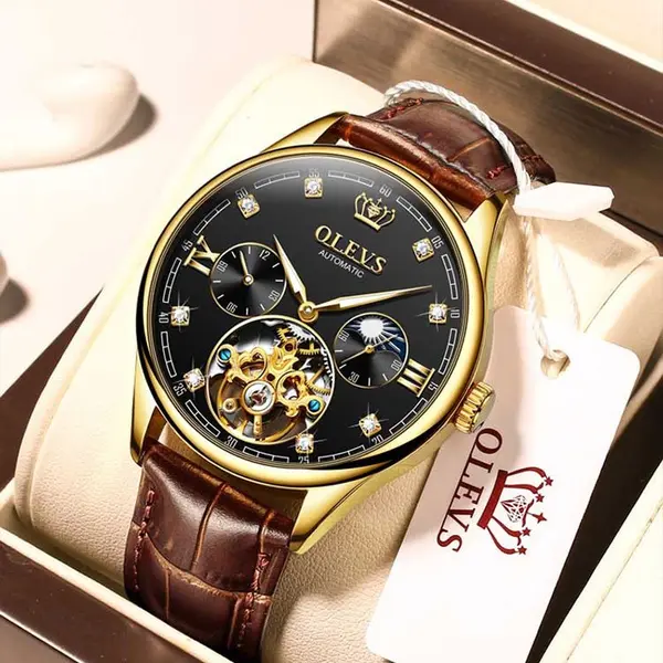 OLEVS 3601 Business Tourbillon Hollow Skeleton Waterproof Luminous Men's Watch – Dial Color: Black, Strap Color:  Brown  – View 2